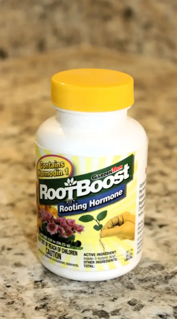 Root Boost Hormone