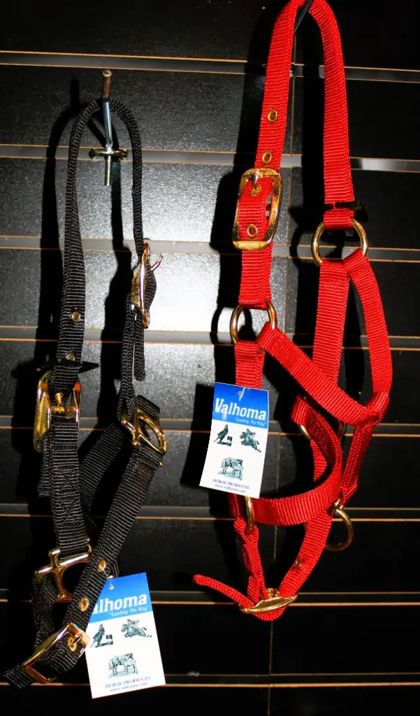 Valhoma Suckling Halter 