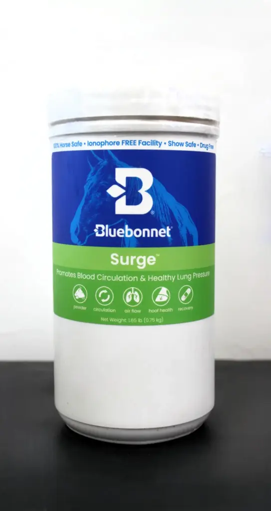Bluebonnet Surge 