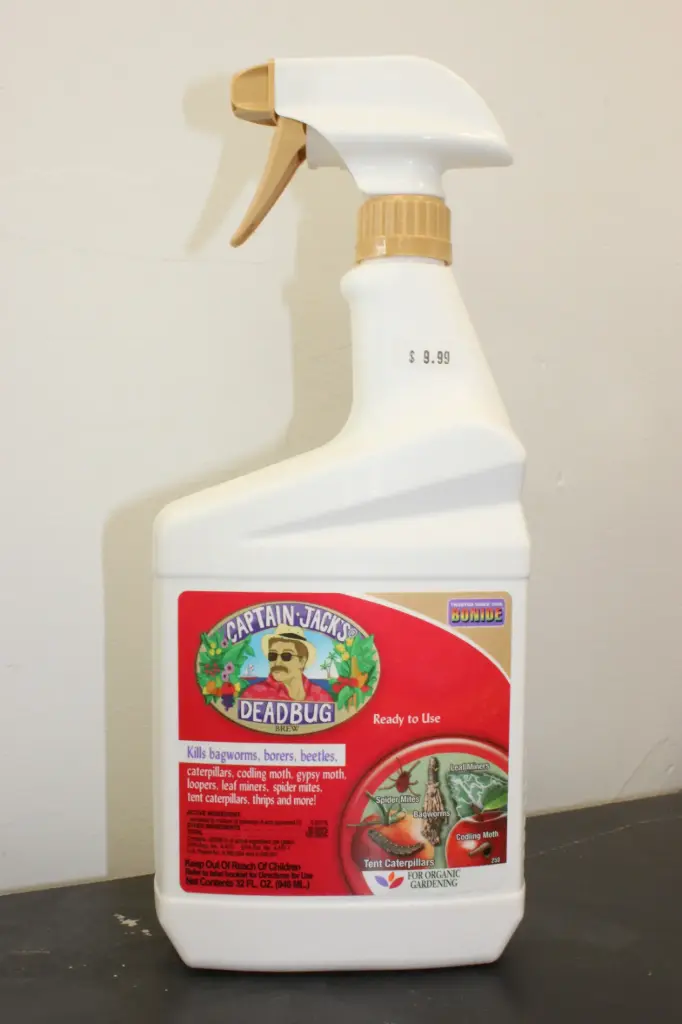 Captain Jack's DeadBug