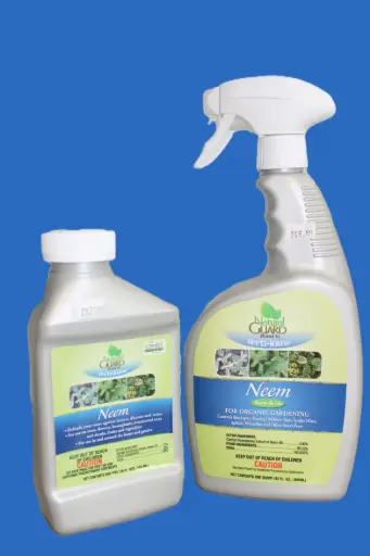 Neem 