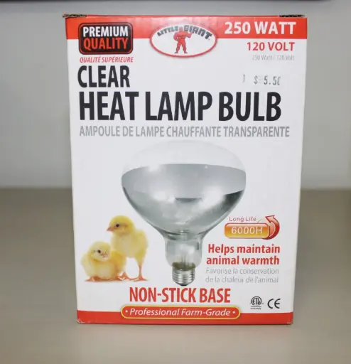 [1985] Heat Lamp Clear Bulb